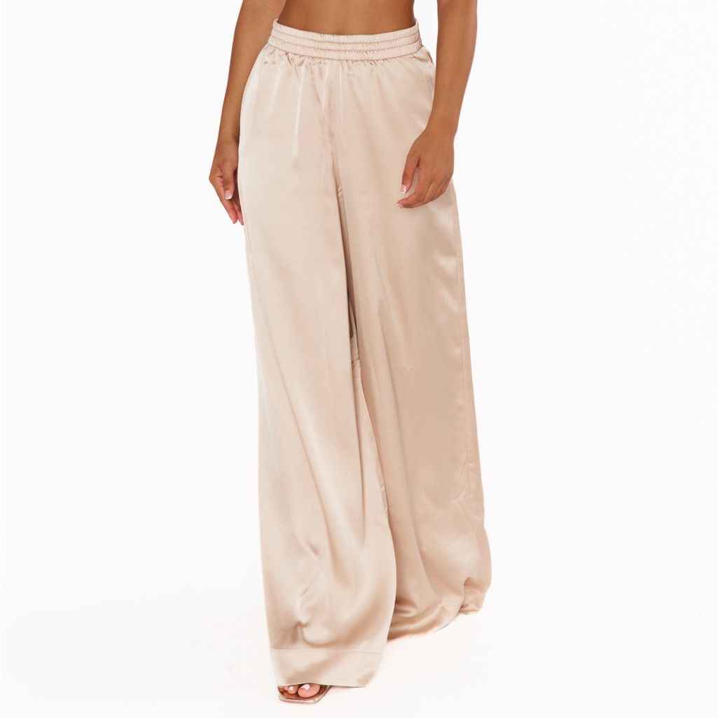 Nwt Irwin Wide Leg Satin Pants In Champaign Luxe Xl